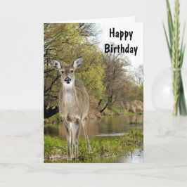 Whitetail Hjort av Bäck Grattis på födelsedagen fö Kort