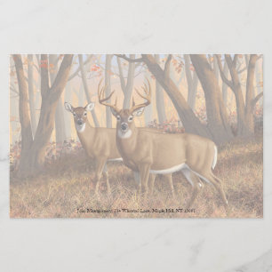 Whitetail Hjort Buck & Doe Autumn Maple Skogen Brevpapper