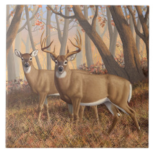 Whitetail Hjort Buck & Doe Autumn Maple Skogen Kakelplatta