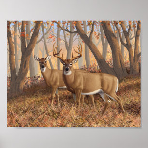 Whitetail Hjort Buck & Doe Autumn Maple Skogen Poster