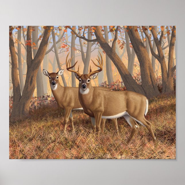 Whitetail Hjort Buck & Doe Autumn Maple Skogen Poster (Framsidan)