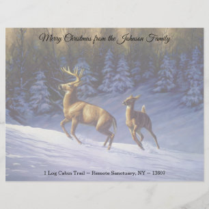Whitetail Hjort Buck & Doe i Winter Snö Brevhuvud