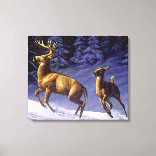 Whitetail Hjort Buck & Doe i Winter Snö Canvastryck (Framsida)