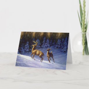Whitetail Hjort Buck & Doe i Winter Snö Kort