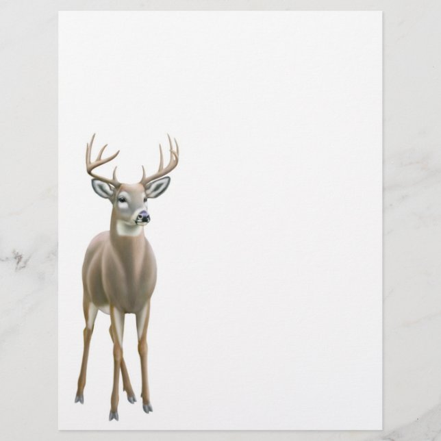 Whitetail Hjort Buck Letterhead (Framsida)