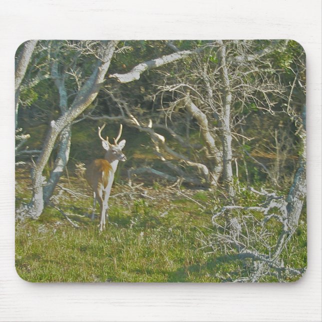 Whitetail Hjort Buck OBX Mousepad Musmatta (Framsidan)