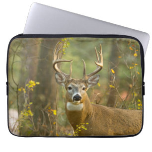 Whitetail Hjort Buck   Vitfisk, Montana Laptop Fodral
