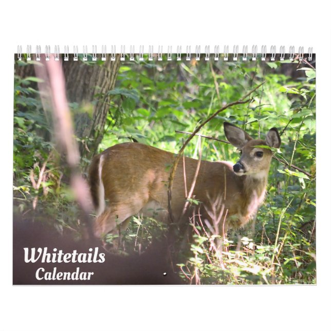 Whitetail Hjort Calendar Kalender (Omslag)