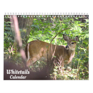 Whitetail Hjort Calendar Kalender