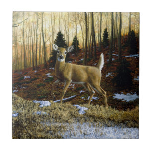 Whitetail Hjort Doe in Autumn Forest Kakelplatta