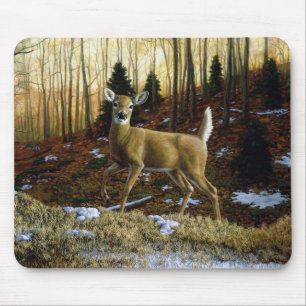 Whitetail Hjort Doe in Autumn Forest Musmatta