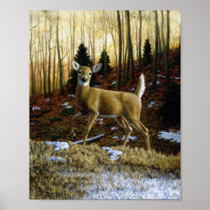 Whitetail Hjort Doe in Autumn Forest Poster