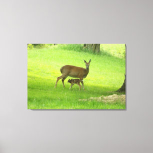 Whitetail Hjort (Doe) och Fawn Canvastryck