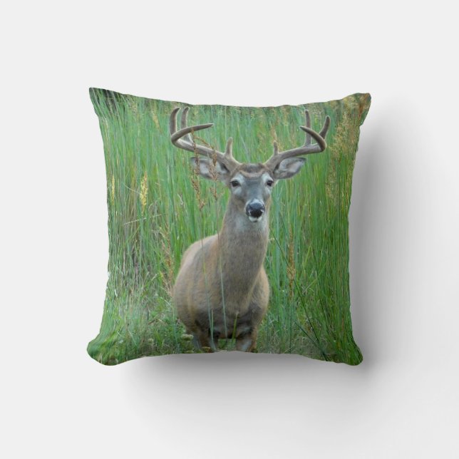 Whitetail Hjort Grönt Fält Pillow Kudde (Framsida)