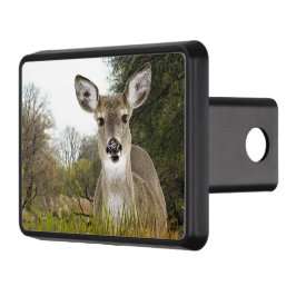 Whitetail Hjort / Hunter Dragkroksskydd