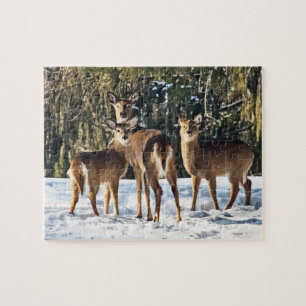 Whitetail Hjort i Snö Pussel