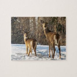 Whitetail Hjort i Snö Pussel