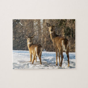 Whitetail Hjort i Snö Pussel