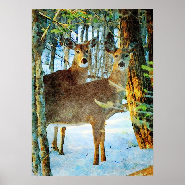 Whitetail Hjort i Winter Snö Wildlife Watercolor Poster (Framsidan)