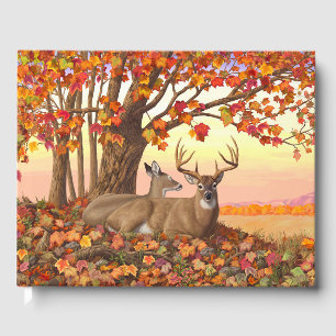 Whitetail Hjort in Autumn New England Höst färger Gästböcker
