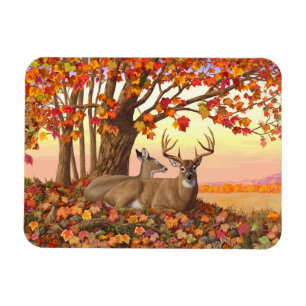 Whitetail Hjort in Autumn New England Höst färger Magnet
