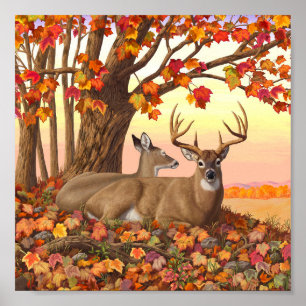 Whitetail Hjort in Autumn New England Höst färger Poster