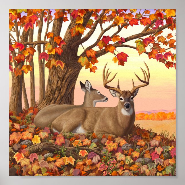 Whitetail Hjort in Autumn New England Höst färger Poster (Framsidan)