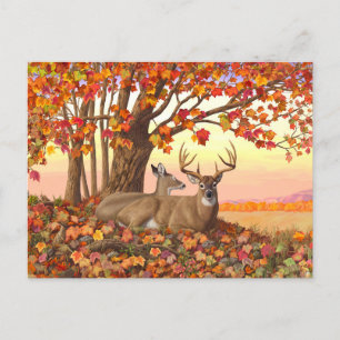 Whitetail Hjort in Autumn New England Höst färger Vykort