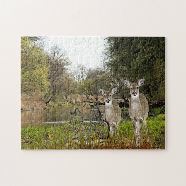 Whitetail Hjort in Forest Collage Art Pussel (Horisontell)