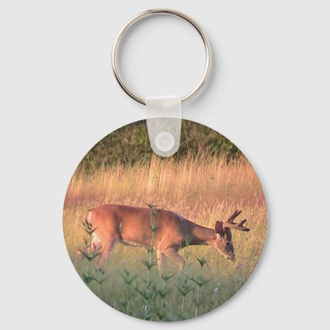 Whitetail Hjort Keychain Nyckelring (Framsida)