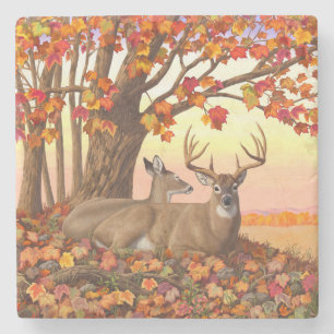 Whitetail Hjort Maple Träd Autumn Orange Stenunderlägg