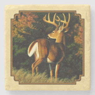 Whitetail Hjort Monster Buck Gult Underlägg Sten