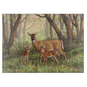 Whitetail Hjort och Cute Twin Fawns i Vår