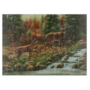 Whitetail Hjort och Waterfall