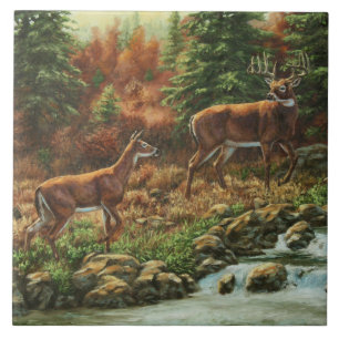 Whitetail Hjort och Waterfall Kakelplatta