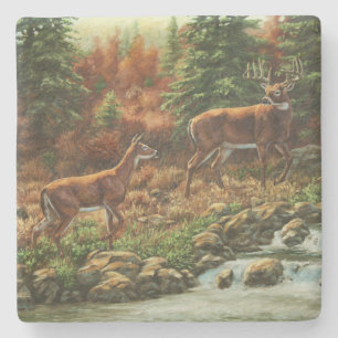 Whitetail Hjort och Waterfall Underlägg Sten