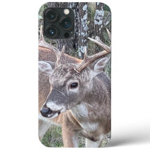 Whitetail Hjort Phone Case