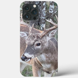 Whitetail Hjort Phone Case