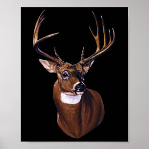 Whitetail Hjort Porträtt Antlers Wildlife Animal G Poster