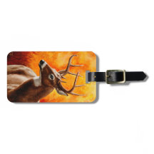 Whitetail Hjort Trophy Buck Head