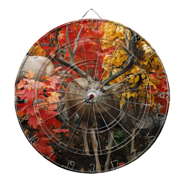 Whitetail i höst darttavla (Framsidan)