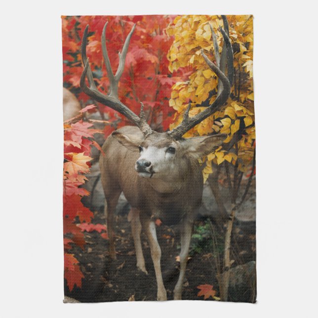 Whitetail i höst kökshandduk (Vertikal)