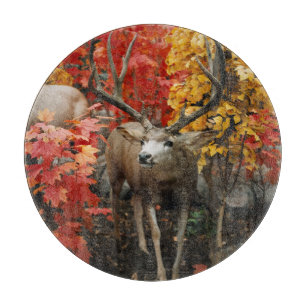 Whitetail på hösten