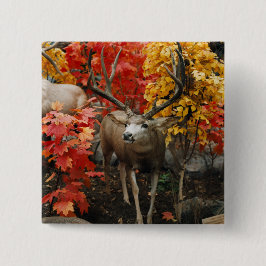 Whitetail på hösten knapp