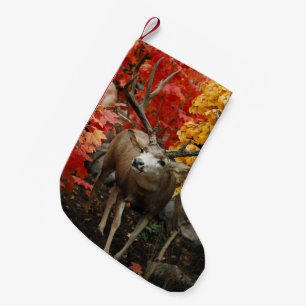 Whitetail på hösten liten julstrumpa