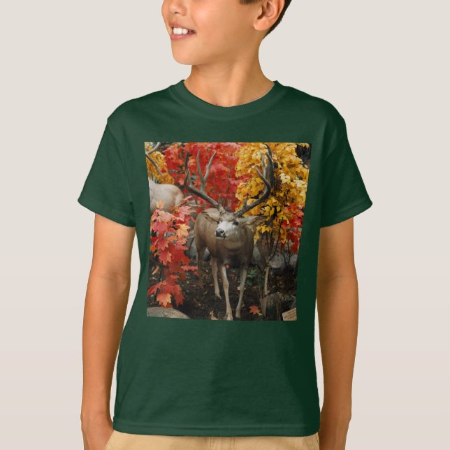 Whitetail på hösten t shirt (Framsida)