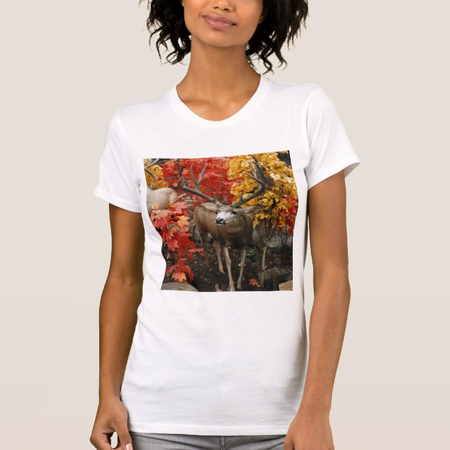 Whitetail på hösten t-shirt (Framsida)