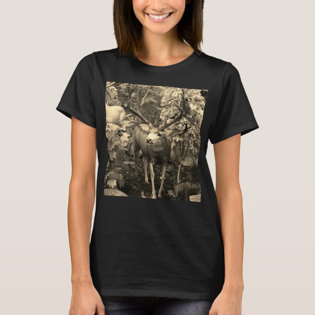 Whitetail på höstträdrutan t shirt (Framsida)