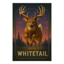 Whitetail Poster