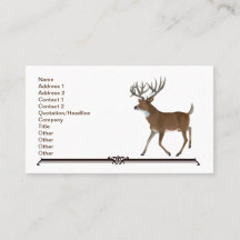 Whitetail Trophy Hjort
